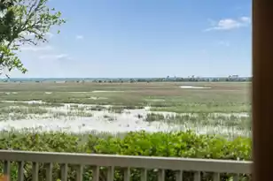12 Marsh Island Ln, Isle Of Palms, SC 29451 - Photo 71