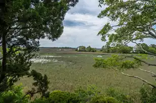 12 Marsh Island Ln, Isle Of Palms, SC 29451 - Photo 73