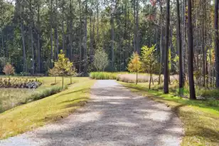 1051 Oyster Drill Dr, Summerville, SC 29485 - Photo 21