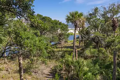 411 Pelican Flight Drive, Dewees Island, SC 29451 - Photo 3