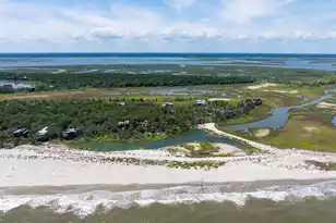 411 Pelican Flight Dr, Dewees Island, SC 29451 - Photo 75
