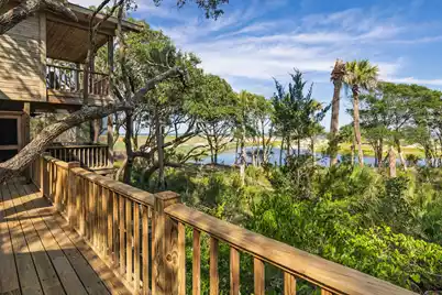 411 Pelican Flight Drive, Dewees Island, SC 29451 - Photo 67