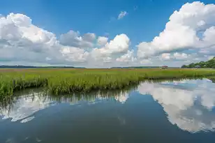 8535 Middleton Point Ln, Edisto Island, SC 29438 - Photo 21