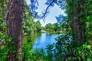 1406 Diamond Blvd, Mount Pleasant, SC 29466 - Photo 11