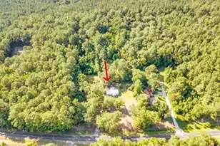 1236 Spring Hill Church Rd, Ridgeville, SC 29472 - Photo 39