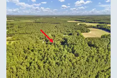 1236 Spring Hill Church Road, Ridgeville, SC 29472 - Photo 45