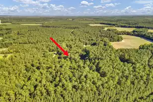 1236 Spring Hill Church Rd, Ridgeville, SC 29472 - Photo 45