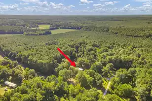 1236 Spring Hill Church Rd, Ridgeville, SC 29472 - Photo 43