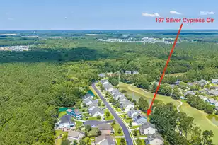 197 Silver Cypress Cir, Summerville, SC 29485 - Photo 63