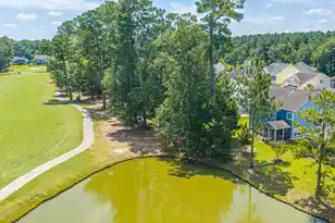 197 Silver Cypress Cir, Summerville, SC 29485 - Photo 41