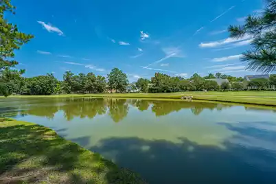 197 Silver Cypress Circle, Summerville, SC 29485 - Photo 65