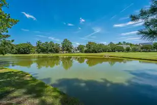 197 Silver Cypress Cir, Summerville, SC 29485 - Photo 65