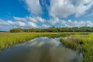 925 Edding Creek Dr, Edisto Island, SC 29438 - Photo 23