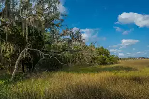 925 Edding Creek Dr, Edisto Island, SC 29438 - Photo 25