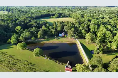 701 Truluck Vineyard Road, Lake City, SC 29560 - Photo 11