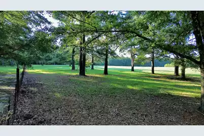 701 Truluck Vineyard Road, Lake City, SC 29560 - Photo 51