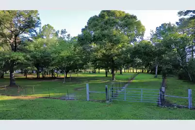 701 Truluck Vineyard Road, Lake City, SC 29560 - Photo 47
