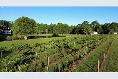 701 Truluck Vineyard Road, Lake City, SC 29560 - Photo 45