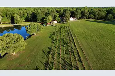 701 Truluck Vineyard Road, Lake City, SC 29560 - Photo 7