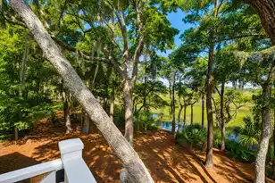 227 Palmetto Bluff, Mount Pleasant, SC 29464 - Photo 73