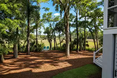 227 Palmetto Bluff, Mount Pleasant, SC 29464 - Photo 75