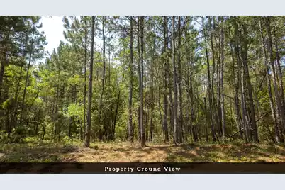 4 Broken Arrow Rd, Eutawville, SC 29048 - Photo 37