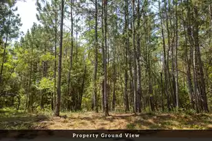 4 Broken Arrow Rd, Eutawville, SC 29048 - Photo 37