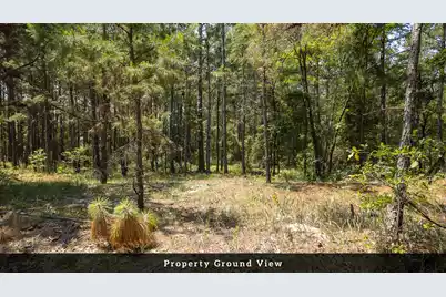 3 Broken Arrow Road, Eutawville, SC 29048 - Photo 13
