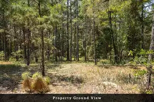 3 Broken Arrow Rd, Eutawville, SC 29048 - Photo 13