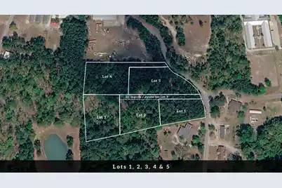 3 Broken Arrow Road, Eutawville, SC 29048 - Photo 1