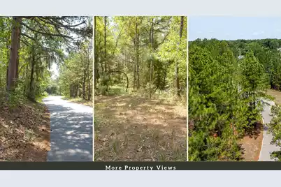3 Broken Arrow Road, Eutawville, SC 29048 - Photo 19