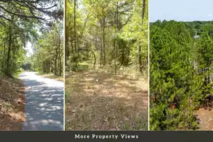 3 Broken Arrow Rd, Eutawville, SC 29048 - Photo 19