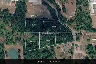 5 Broken Arrow Rd, Eutawville, SC 29048 - Photo 3