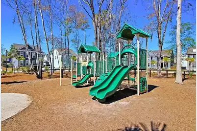 3020 Candela Grove Drive, Charleston, SC 29414 - Photo 65