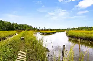 3020 Candela Grove Dr, Charleston, SC 29414 - Photo 71