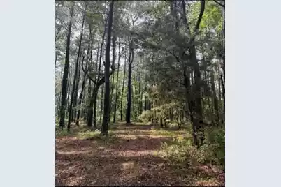 7477 Highway 17 N, Awendaw, SC 29429 - Photo 13