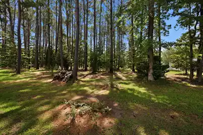 2981 Bennett Charles Road, Mount Pleasant, SC 29466 - Photo 45