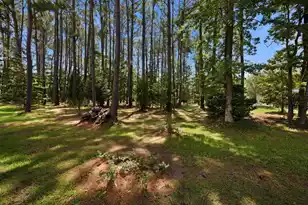 2981 Bennett Charles Rd, Mount Pleasant, SC 29466 - Photo 45