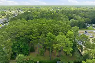 2981 Bennett Charles Rd, Mount Pleasant, SC 29466 - Photo 55