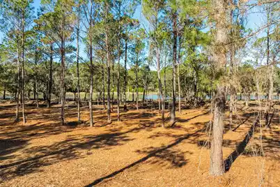 1145 Sound Drive, Johns Island, SC 29455 - Photo 7