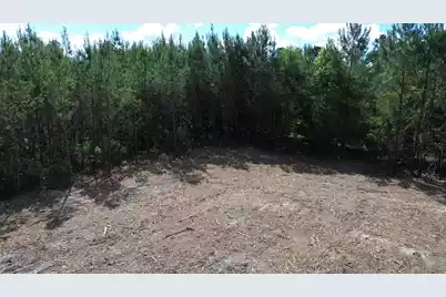 2 Highway 311, Cross, SC 29436 - Photo 5