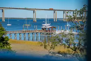 600 Waterman St #732, Charleston, SC 29492 - Photo 5