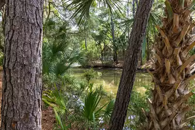 2143 Royal Pine Drive, Seabrook Island, SC 29455 - Photo 23