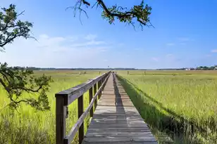 2592 Jenkins Point Rd, Seabrook Island, SC 29455 - Photo 47