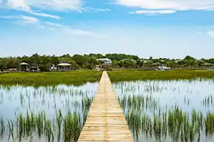 2809 Parkers Landing Rd, Mount Pleasant, SC 29466 - Photo 67