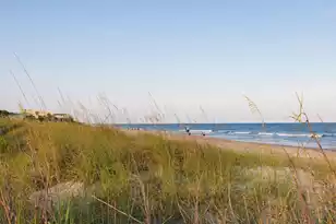 19 Grand Pavilion Blvd, Isle Of Palms, SC 29451 - Photo 71