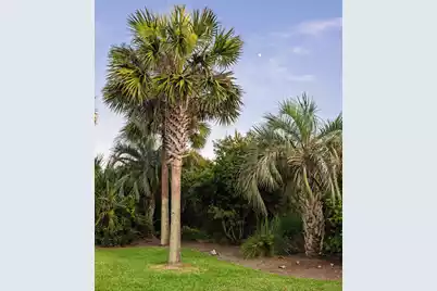 19 Grand Pavilion Boulevard, Isle Of Palms, SC 29451 - Photo 73