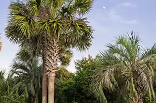 19 Grand Pavilion Blvd, Isle Of Palms, SC 29451 - Photo 73