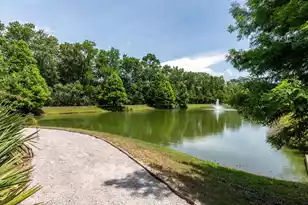 1694 Hunter's Run Dr, Mount Pleasant, SC 29464 - Photo 23