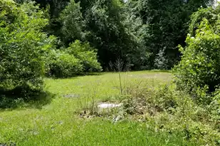 102 Harper St, Walterboro, SC 29488 - Photo 3